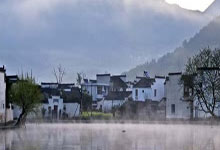 茶叶市场趋势分析：2023年茶叶行业热点盘点